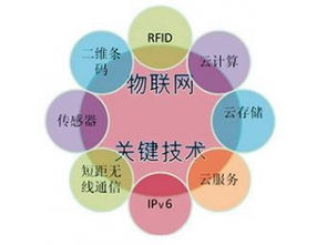 賽億科技 驅動萬物互聯，網絡技術賦能智慧未來